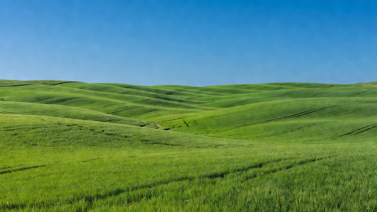 Bright rolling green farm fields under a blue sky